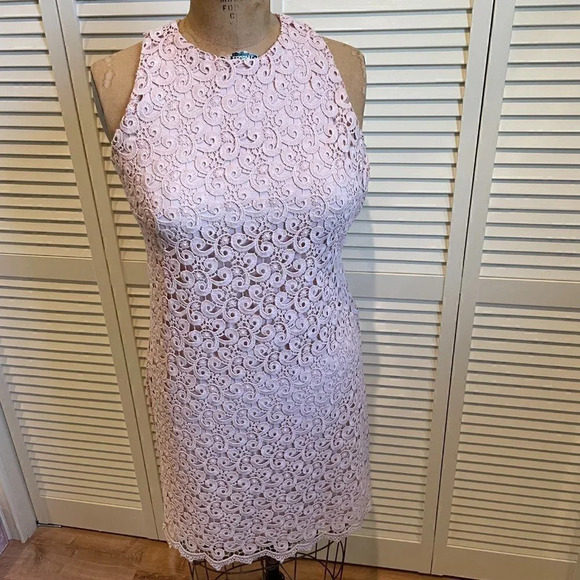 MASSIMO DUTTI / ZARA Women's Pale Pink Lace Mini Dress Size 6 - Picture 1 of 10